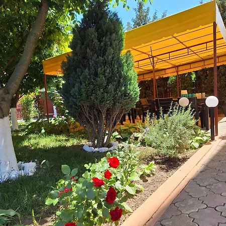 Tropical Πανσιόν